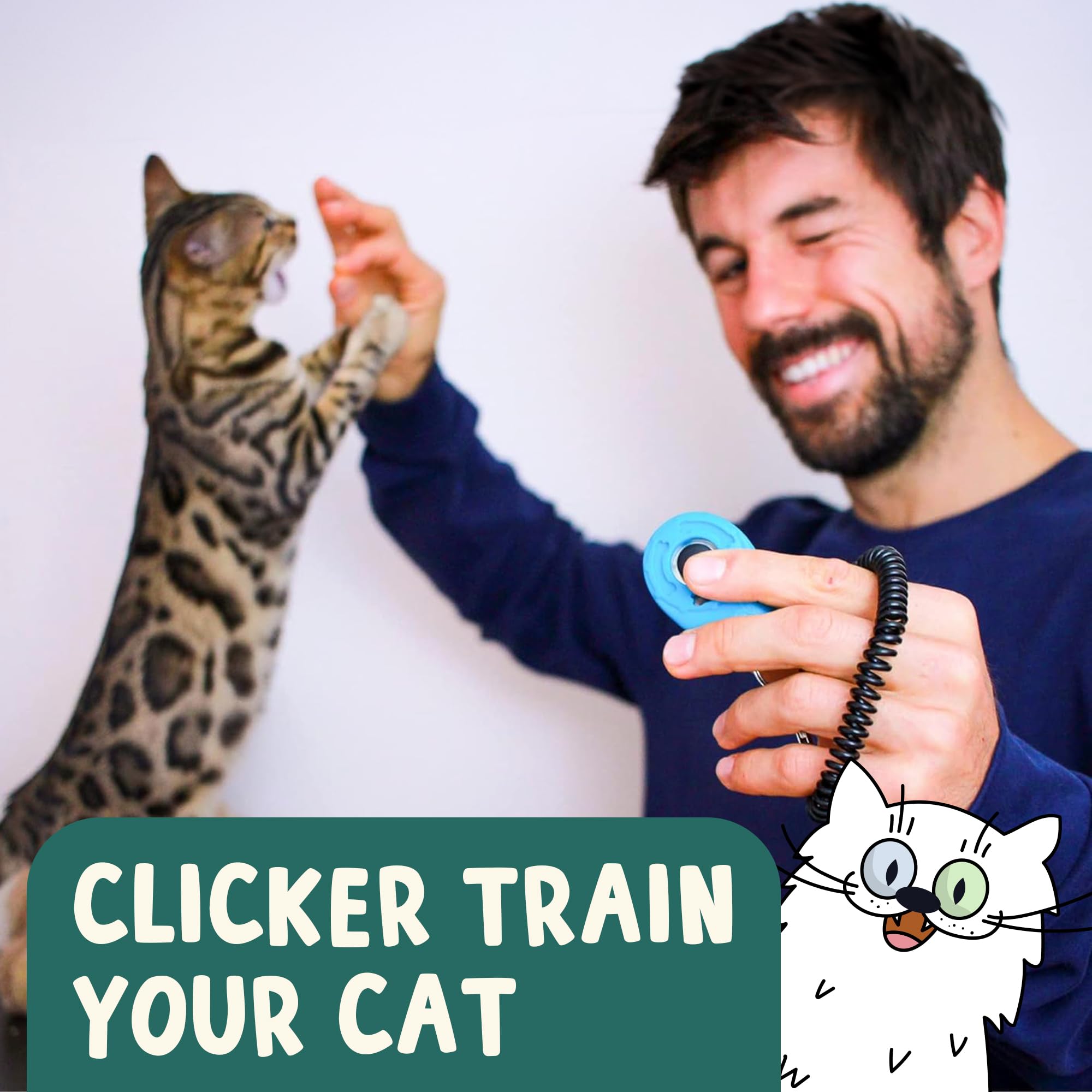 OutdoorBengal Cruzada del Clic: conjunto de cartas para entrenamiento diario y diversión compartida.