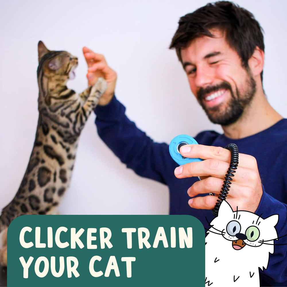 OutdoorBengal Cruzada del Clic: conjunto de cartas para entrenamiento diario y diversión compartida.