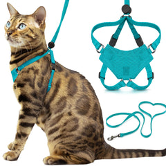 Arnés Houdini de OutdoorBengal en turquesa para paseos seguros de gatitos