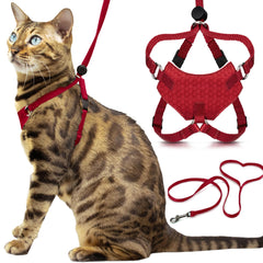 Houdini de OutdoorBengal: arnés para gato a prueba de fugas, seguro para paseos.