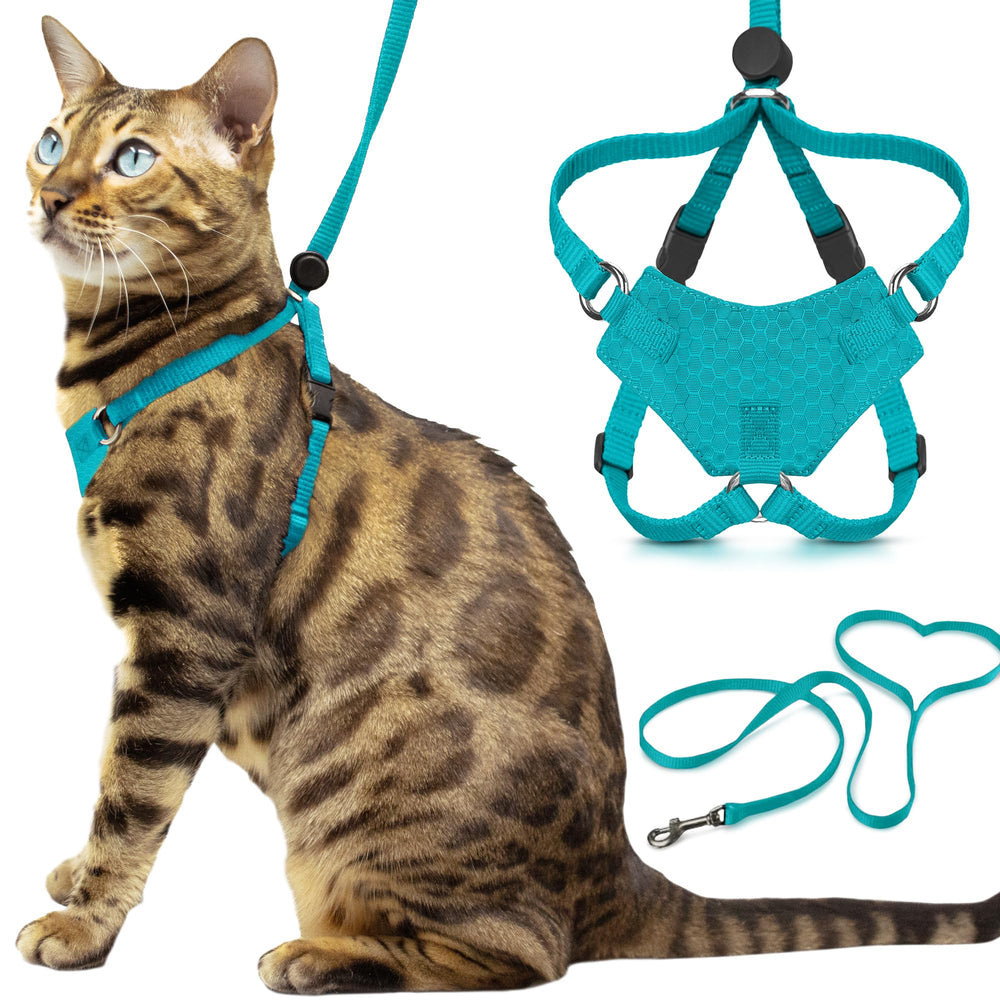 Arnés Houdini de OutdoorBengal para gato turquesa, paseo seguro y cómodo.