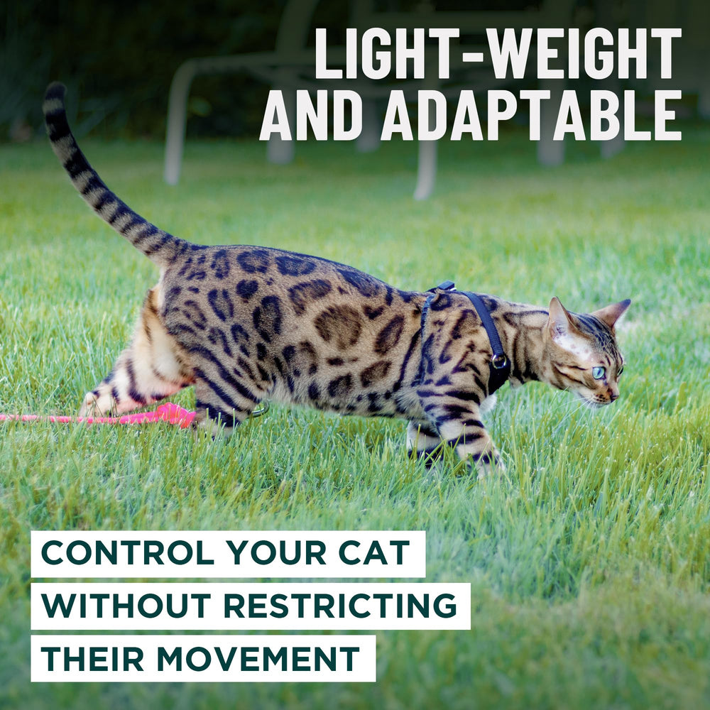 Prueba de aventura Mia: arnés Houdini OutdoorBengal en acción.