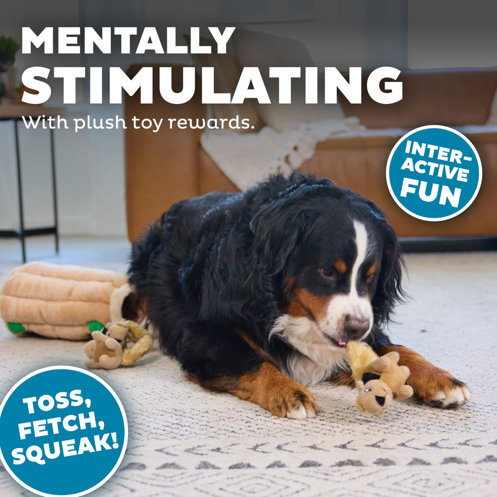 Outward Hound Ardillas extraíbles – búsqueda y extracción para estimular la resolución de problemas
