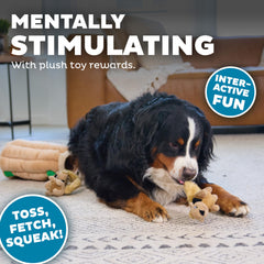 Outward Hound Ardillas extraíbles – búsqueda y extracción para estimular la resolución de problemas