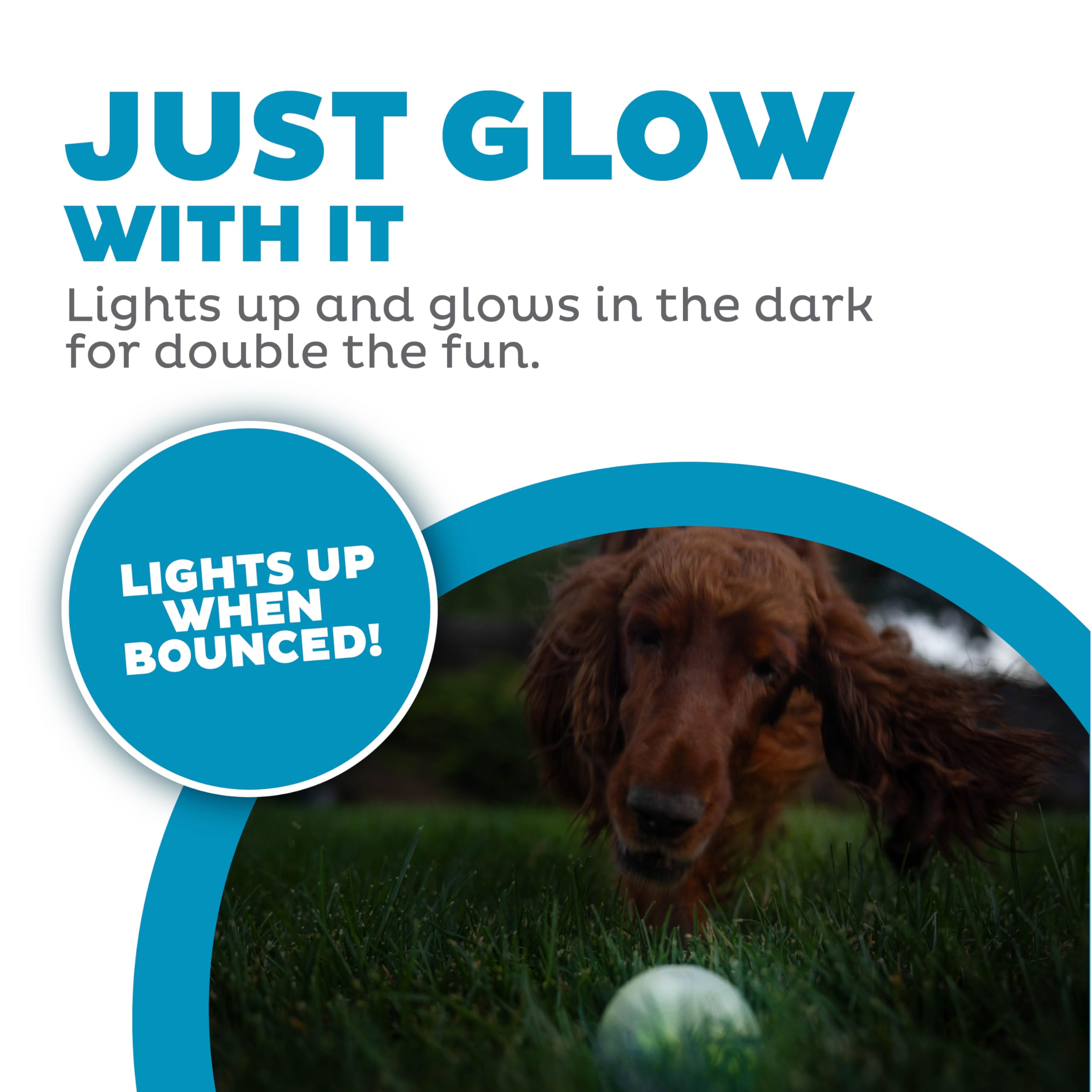 Outward Hound bola Orbee-Tuff resistente para juego en interior y exterior.
