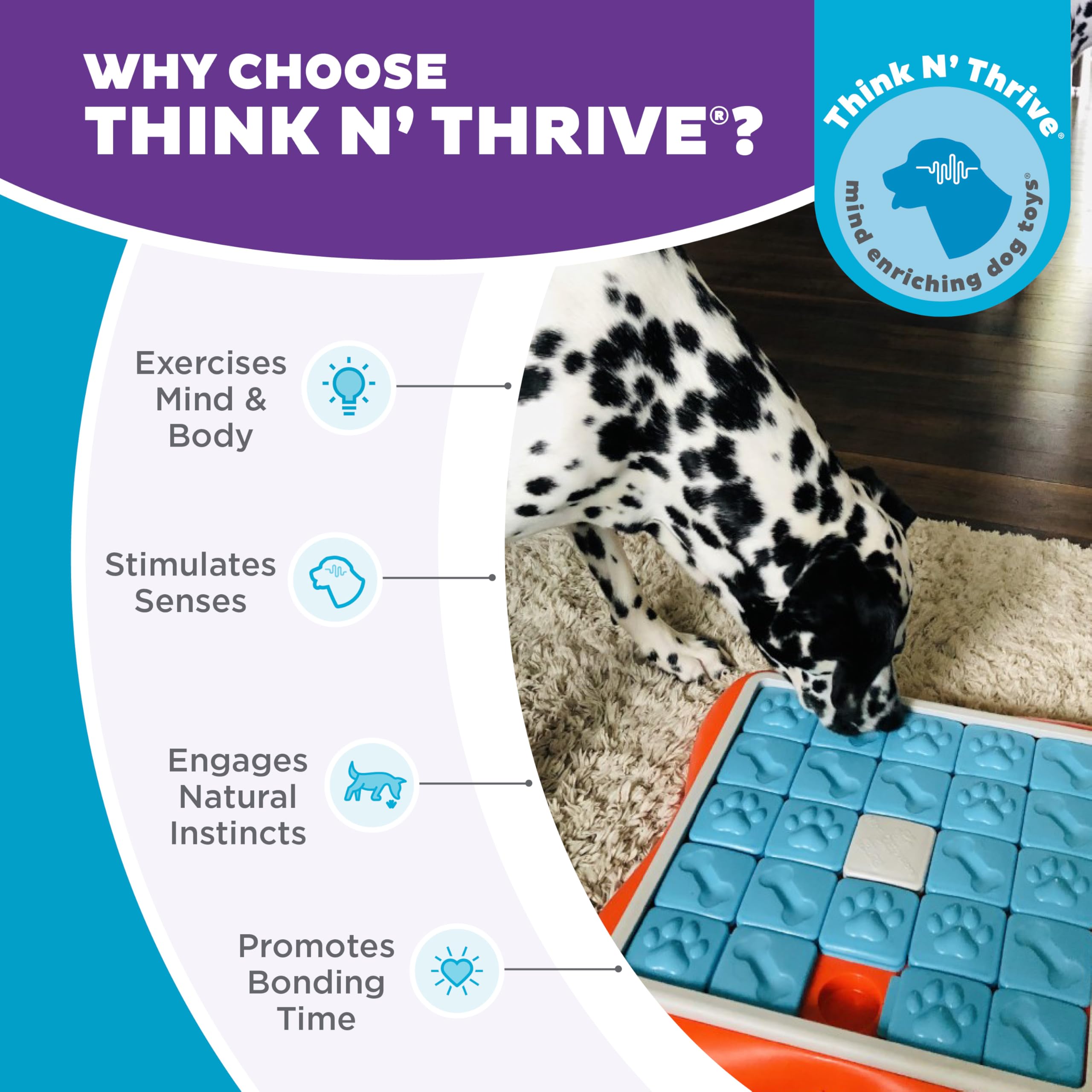 Outward Hound Challenge Slider juego interactivo que fomenta actividad mental diaria