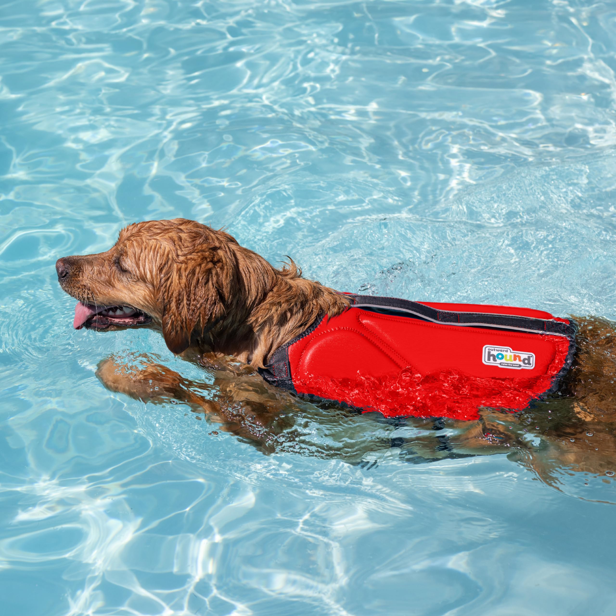 Outward Hound Dawson, neopreno suave, calor y flotación para actividades acuáticas.