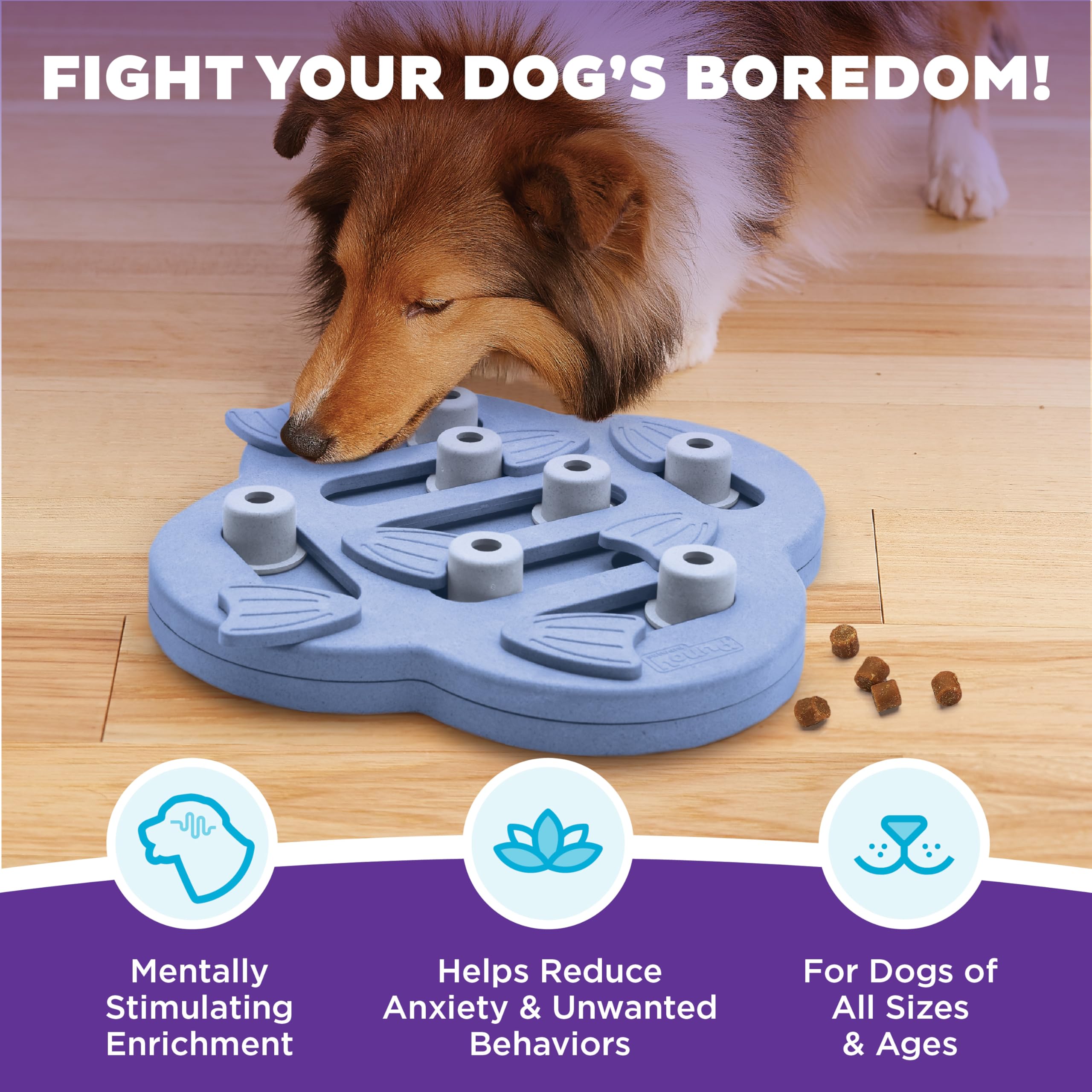 Outward Hound Dog Hide N' Slide: bloques deslizables para descubrir premios.