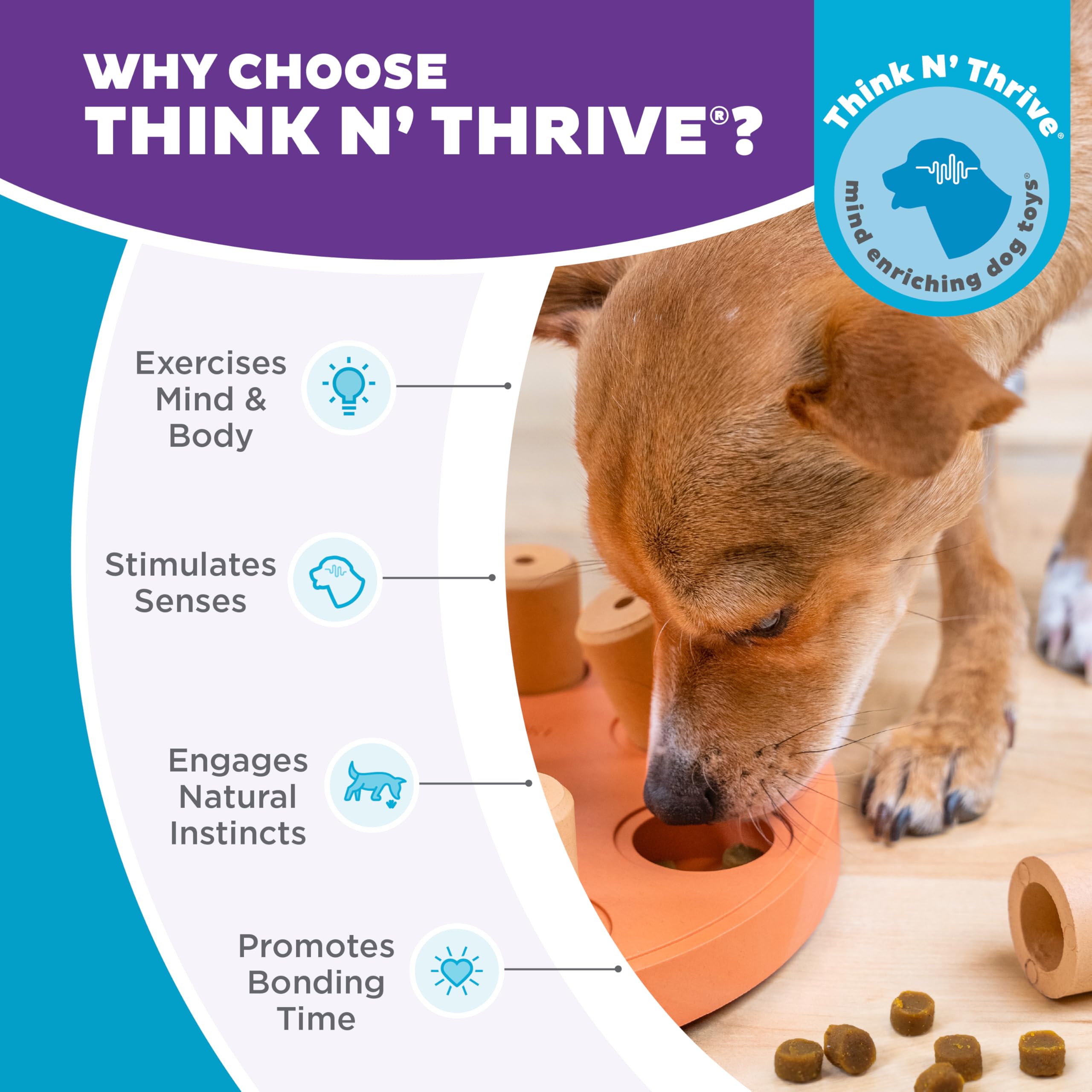 Outward Hound Dog Smart Puzzle: interaction chien, montre l'engagement et l'exercice mental