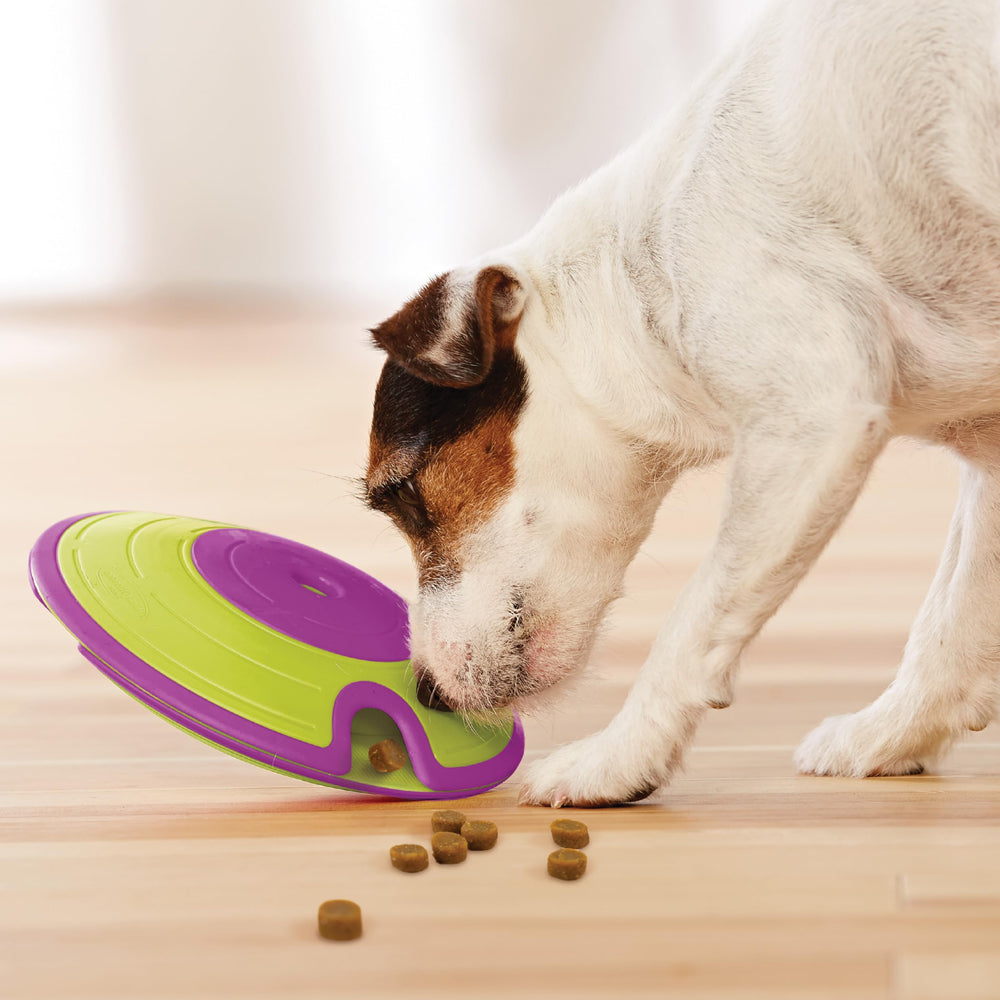 Outward Hound Dog Treat Maze rutina de comida pausada.