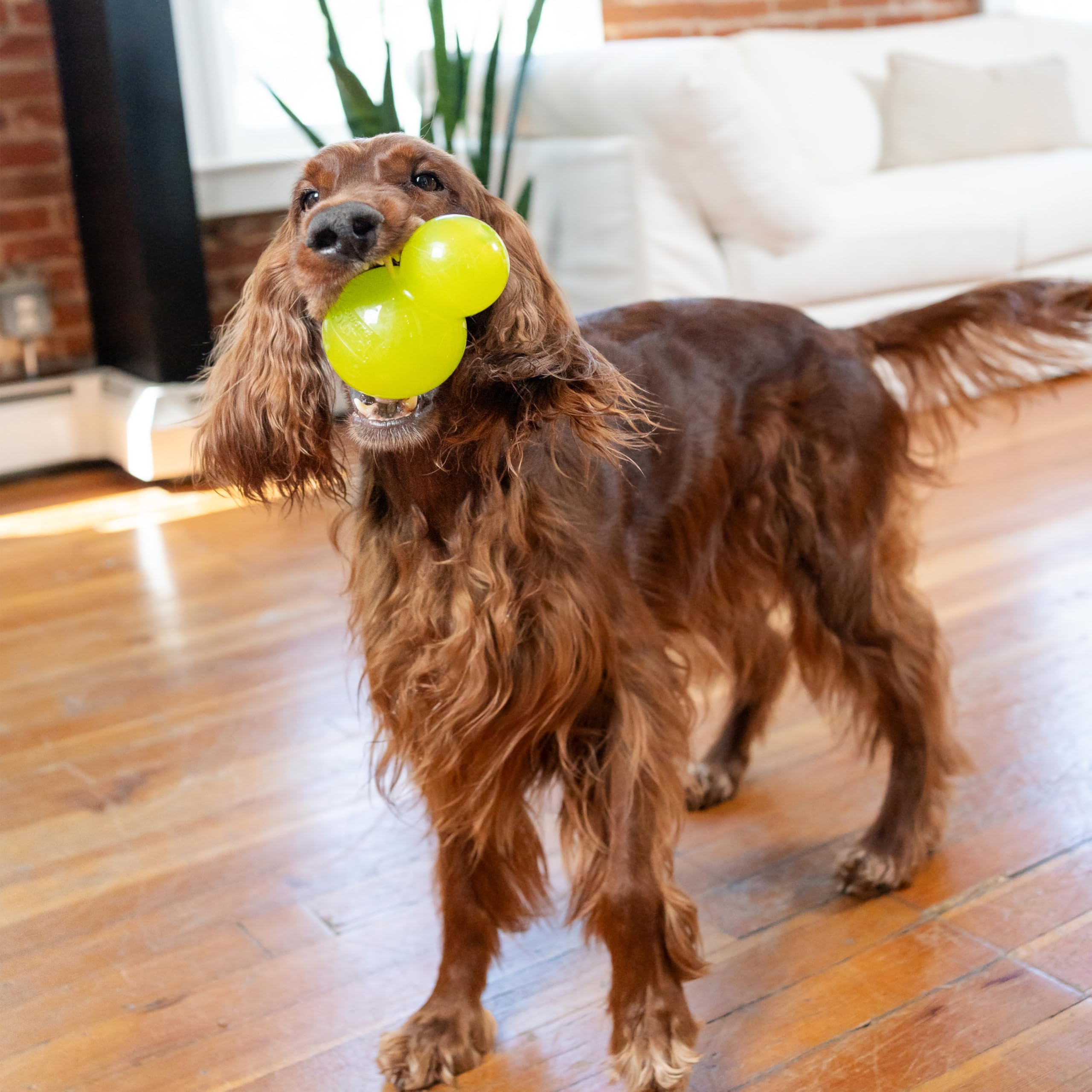 Outward Hound Double-Tuff, juguete duradero para sesiones repetidas y seguras.