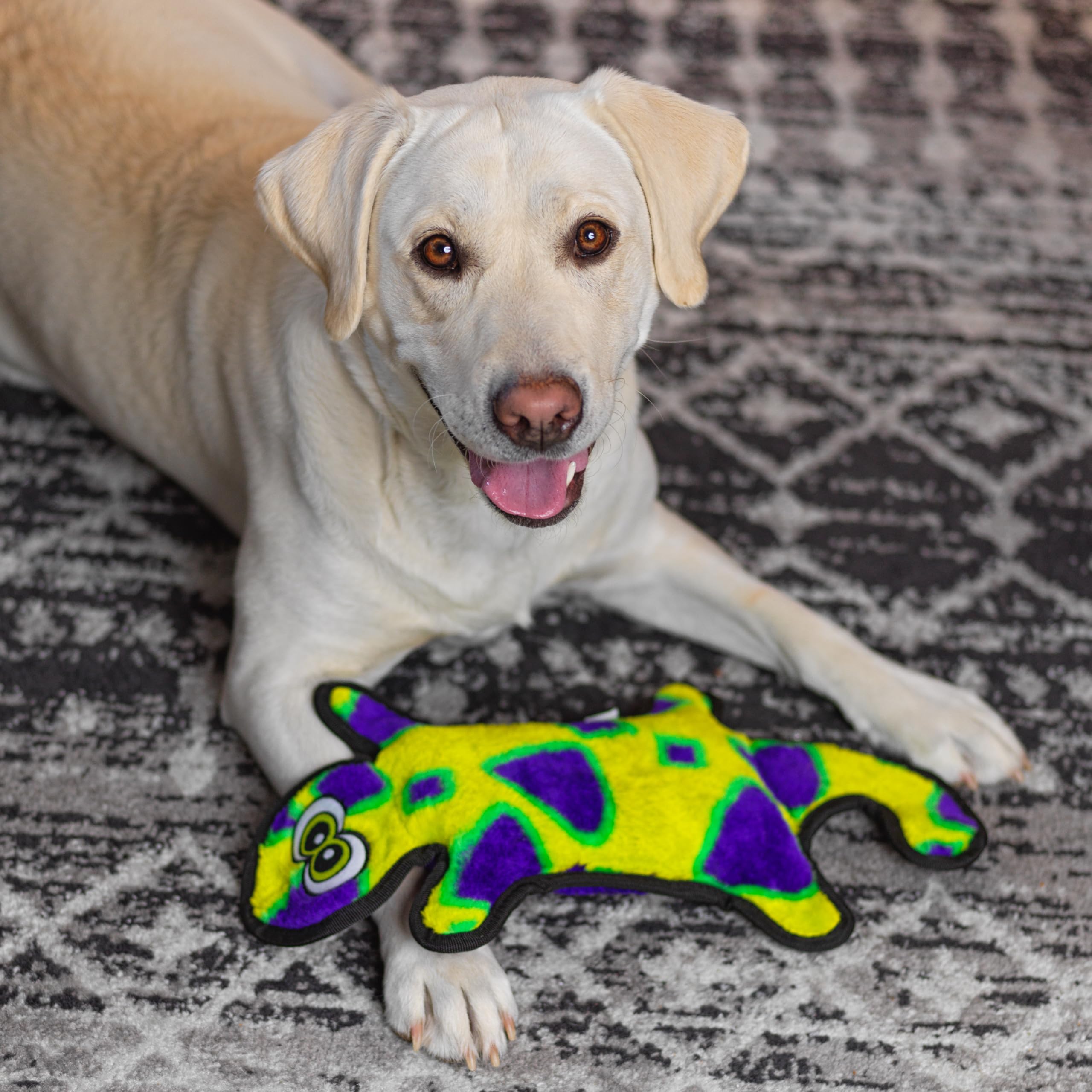 Outward Hound Durablez Gecko: juguete de gran tamaño ideal para perros y cachorros grandes.
