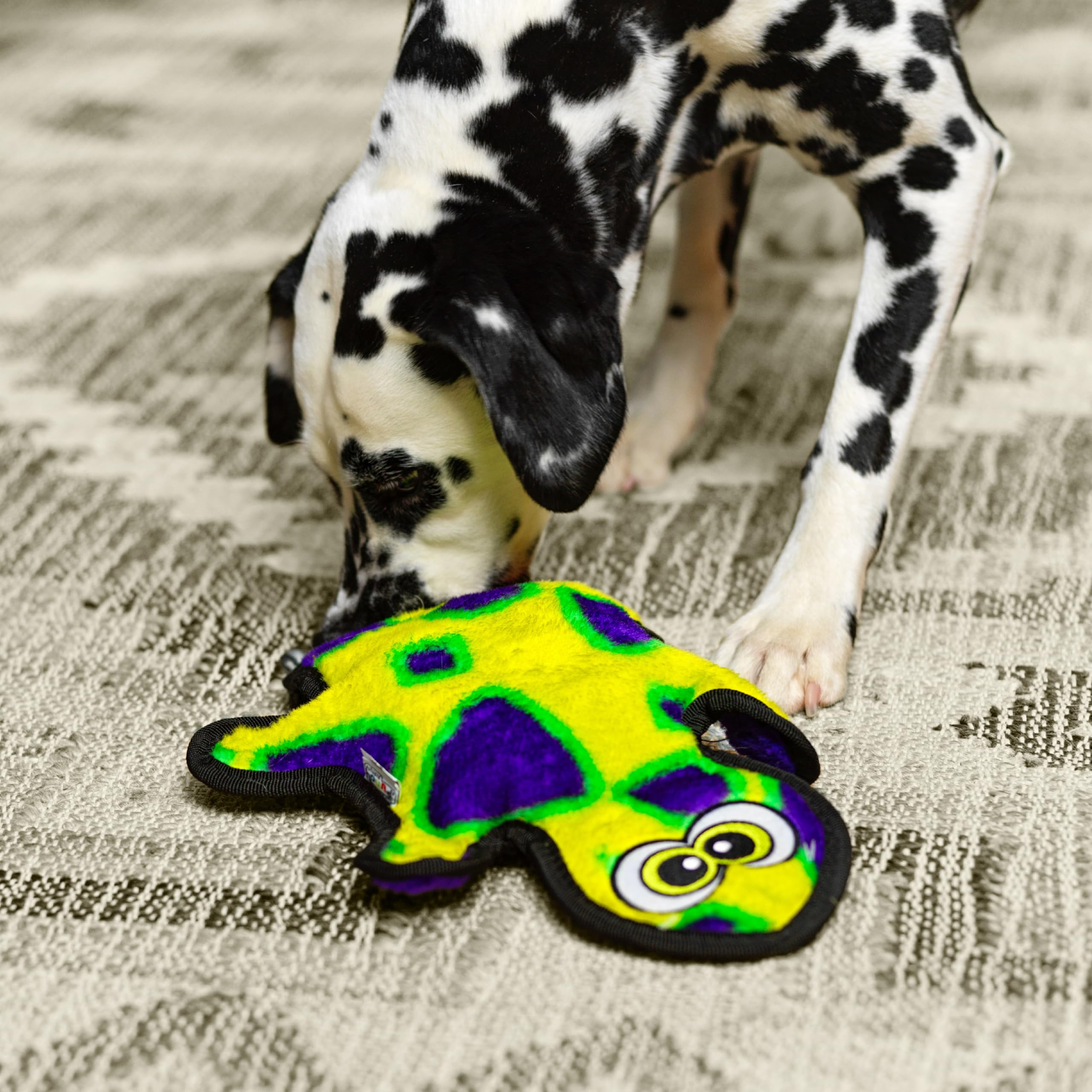 Outward Hound Durablez Gecko, disponible en tamaños y formas para todas las razas.