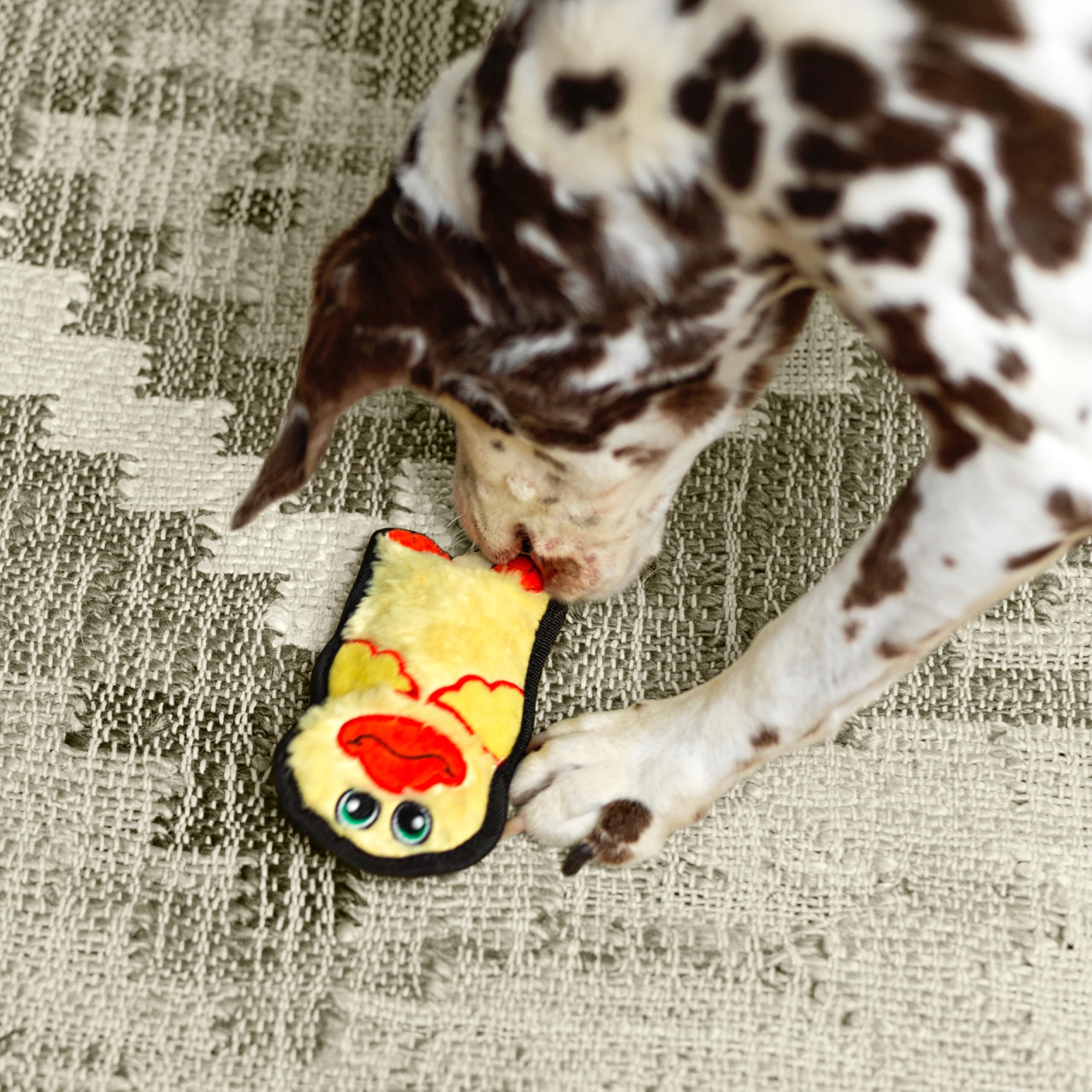 Outward Hound Durablez Minis pato juego diario para cachorros pequeños