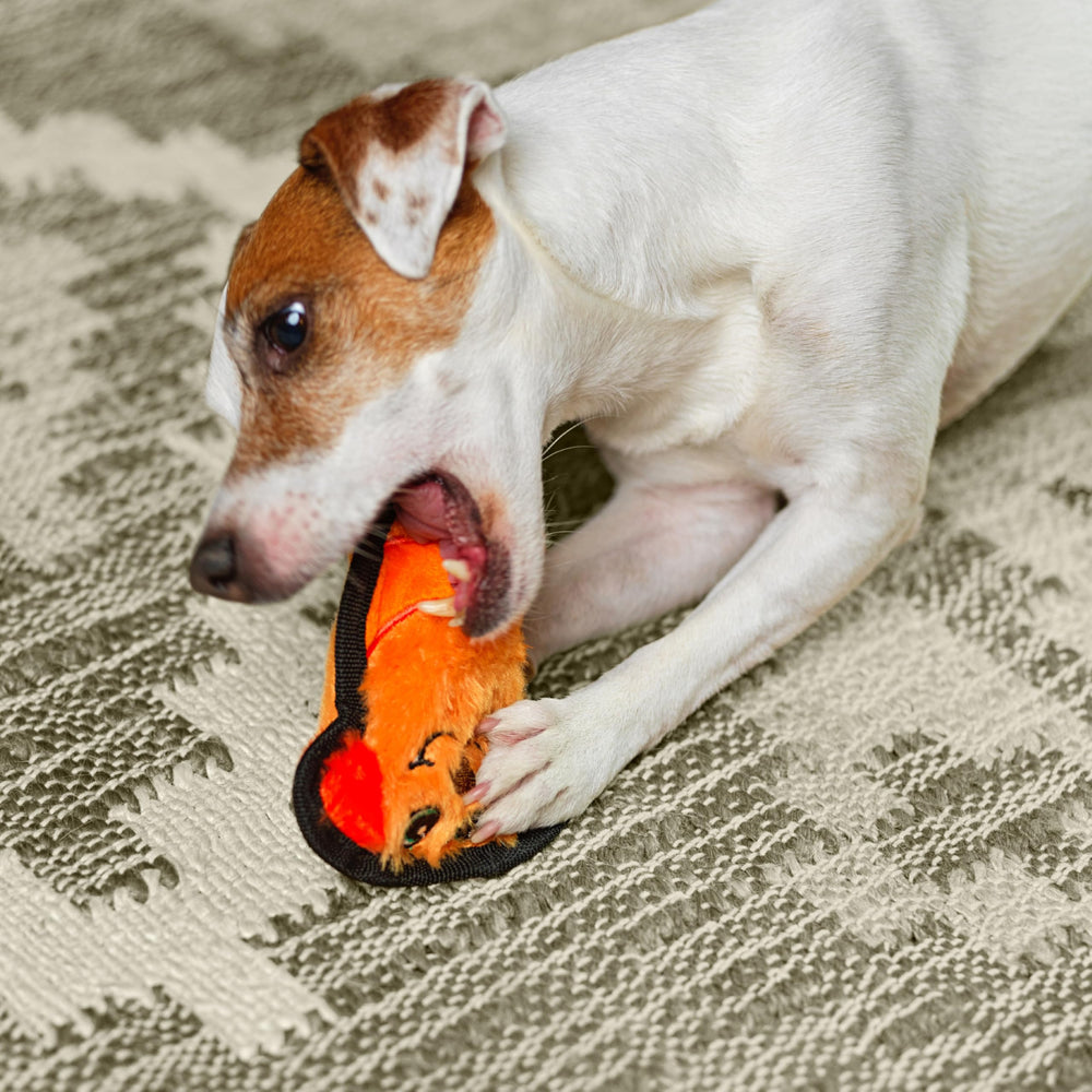 Outward Hound Durablez Minis, diseño interactivo, perfecto para buscar y lanzar dentro del hogar.