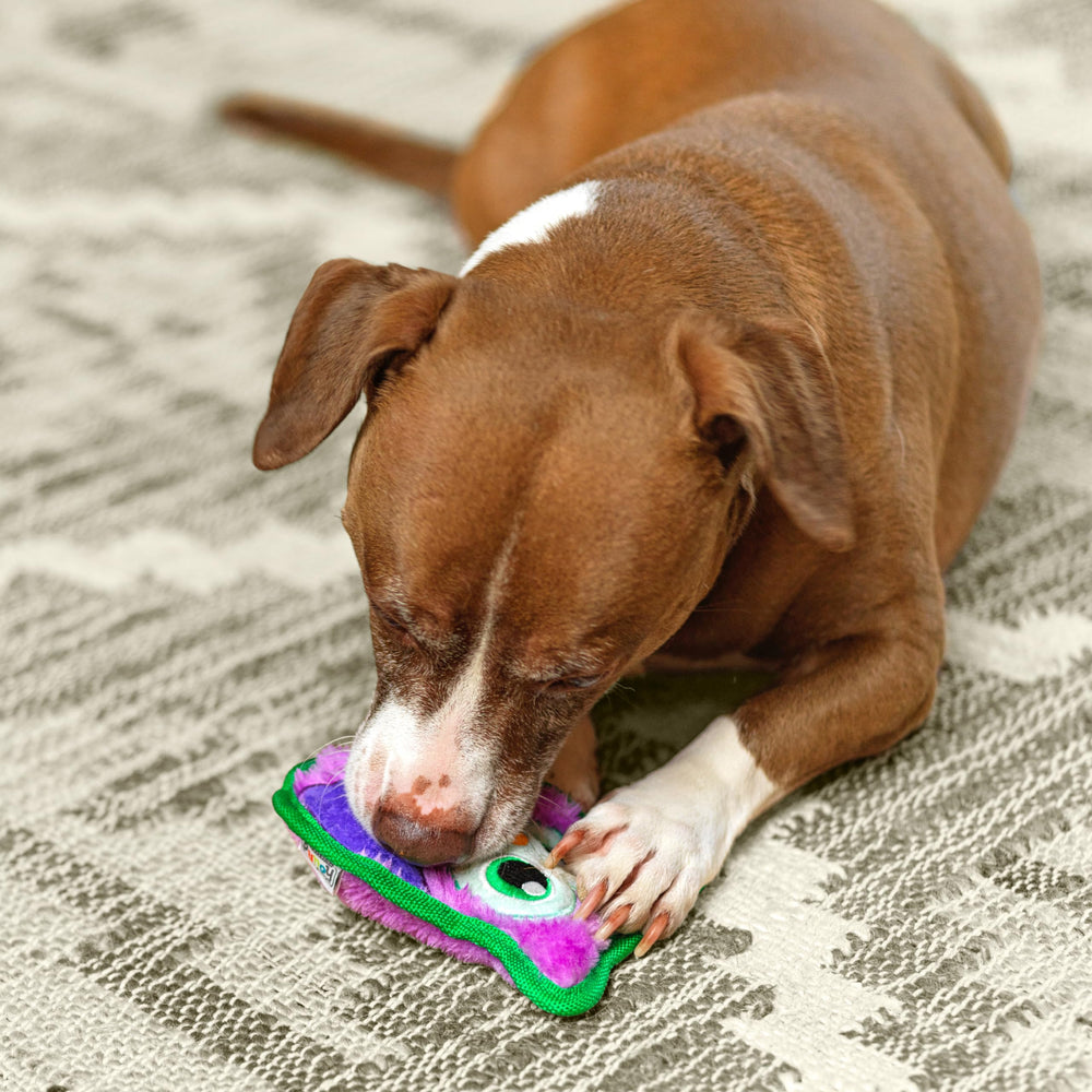Outward Hound Durablez Minis Owl, modelo sin relleno para menos desorden.