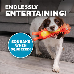 Erizo para perro de Outward Hound con chirrido y colores atractivos.