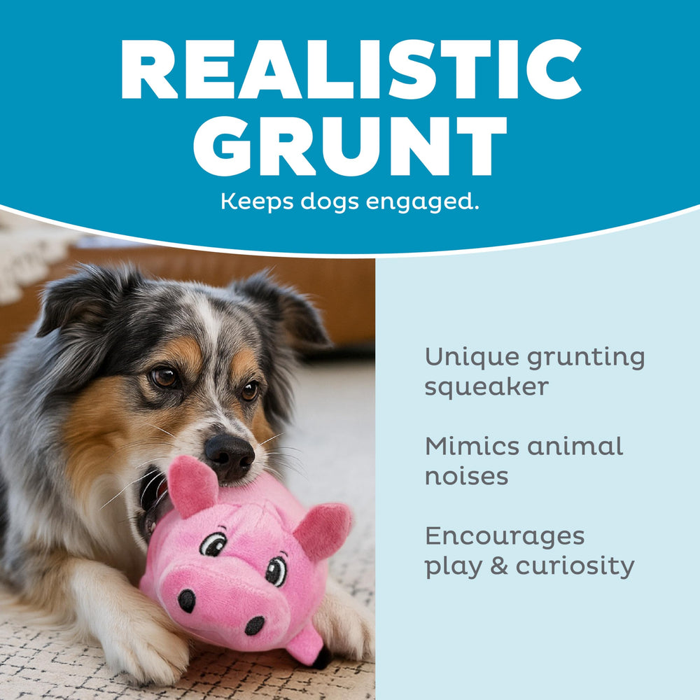 Outward Hound Fattiez cerdito pequeño peluche para perro