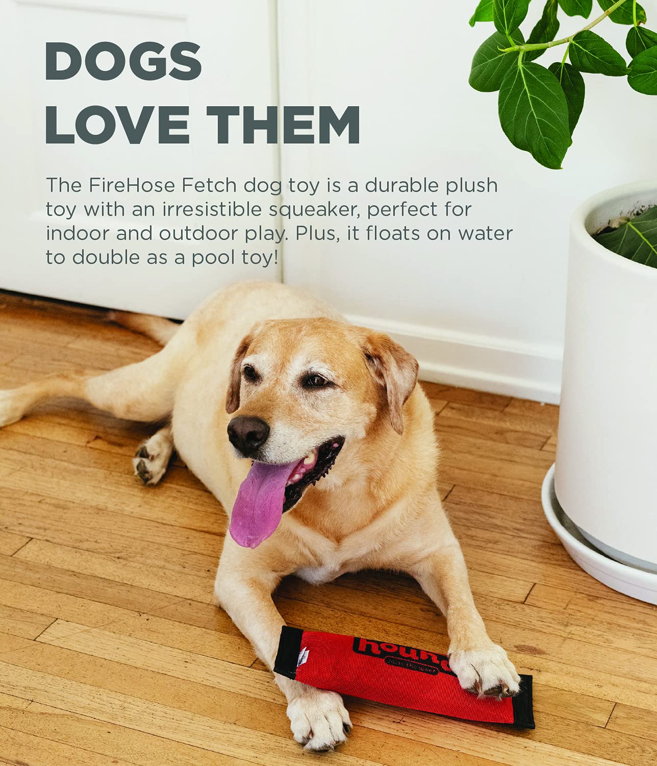 Outward Hound Firehose Fetch: juego de halar resistente para perros.