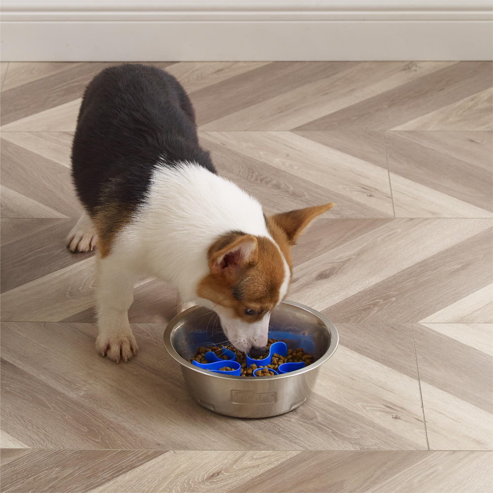 Lavavajillas en rejilla superior compatible con Outward Hound Fun Feeder.