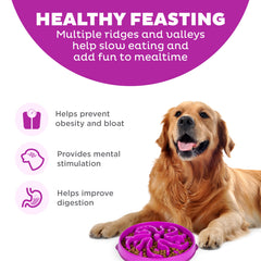 Outward Hound Fun Alimentador Slo Bowl, alimentación lenta para perros activos.