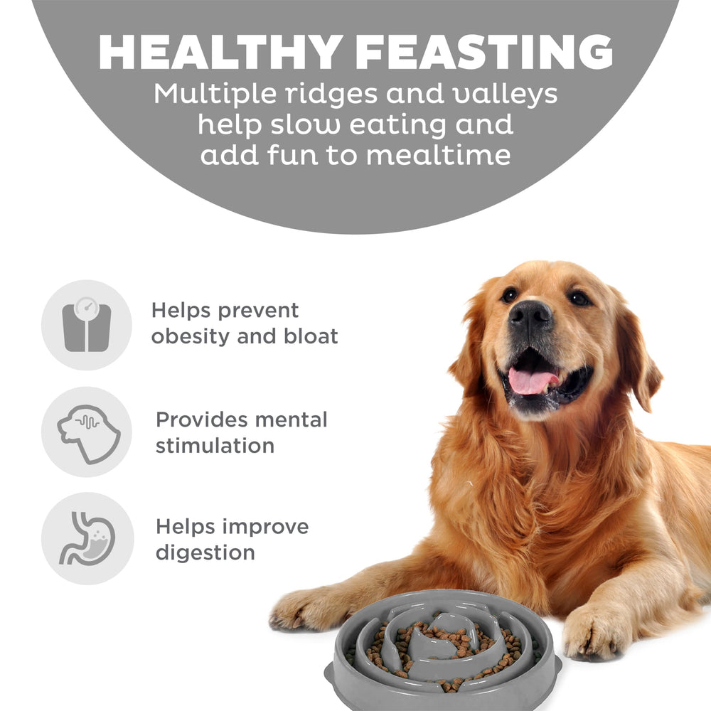 Outward Hound Fun Feeder Slo Bowl antideslizante evita derrames durante las comidas.