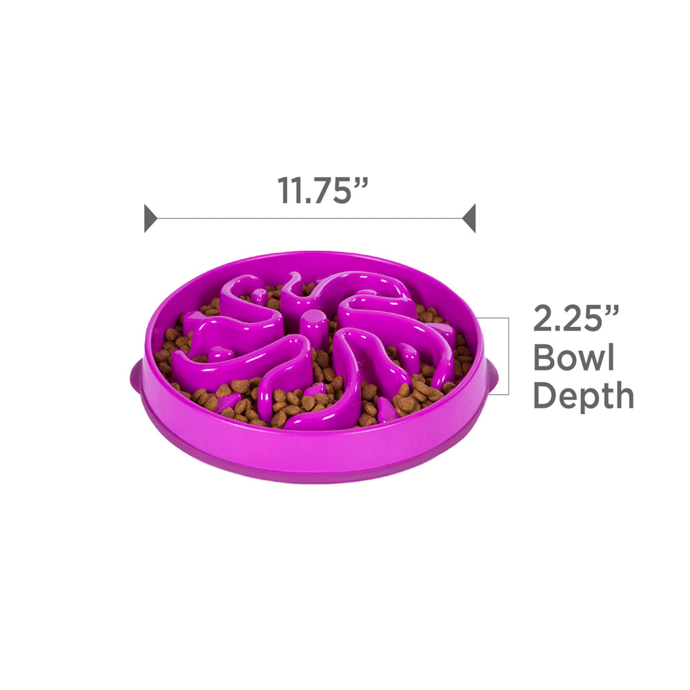 Outward Hound Fun Alimentador Slo Bowl en púrpura con flor, estilo atractivo.