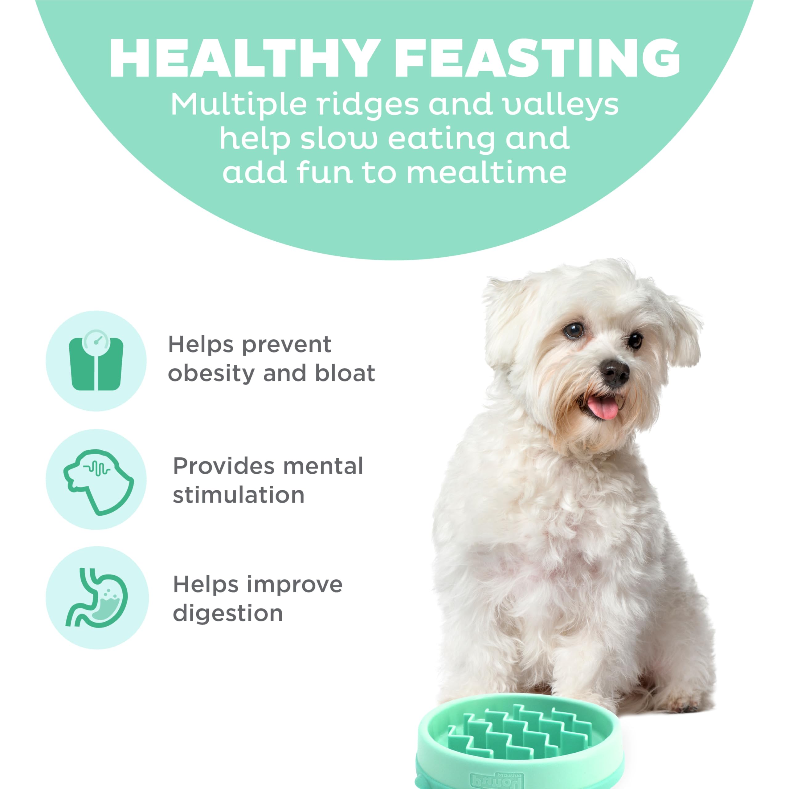 Outward Hound Fun Feeder Slo Bowl con diseño rompecabezas interior.