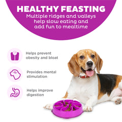 Detalle del laberinto profundo del Outward Hound Fun Feeder Slo Bowl.