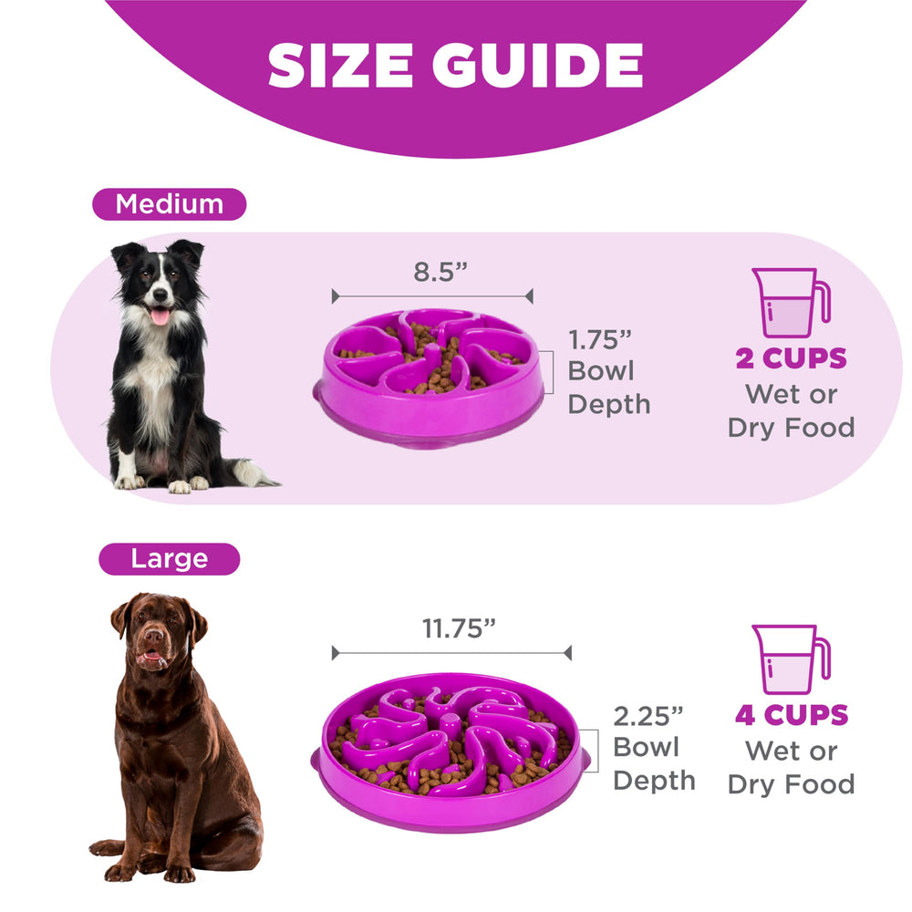 Tazón mediano de Outward Hound Fun Feeder Slo Bowl para perros y gatos.