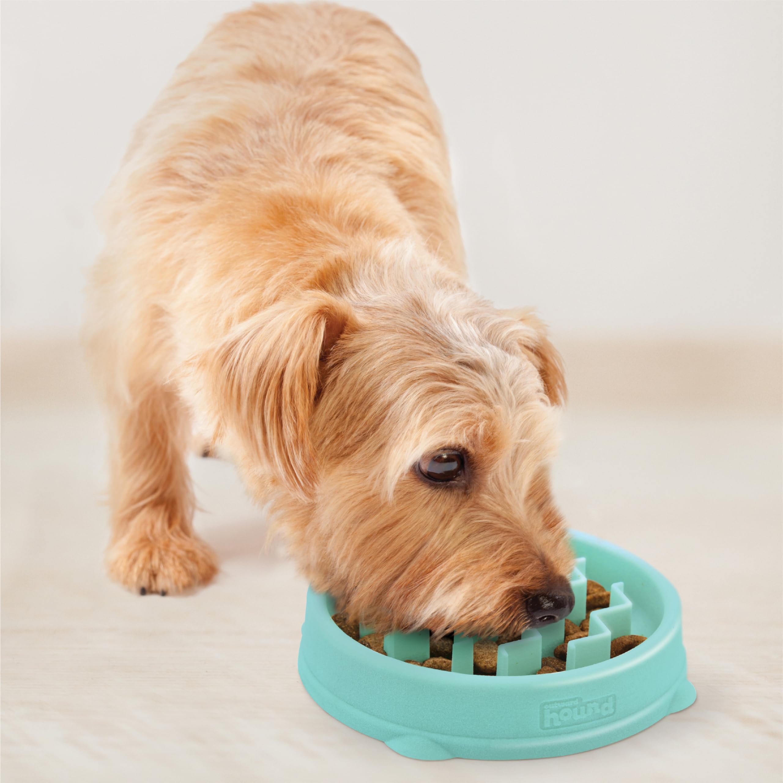 Outward Hound Fun Feeder Slo Bowl ideal para cachorros y gatos pequeños.