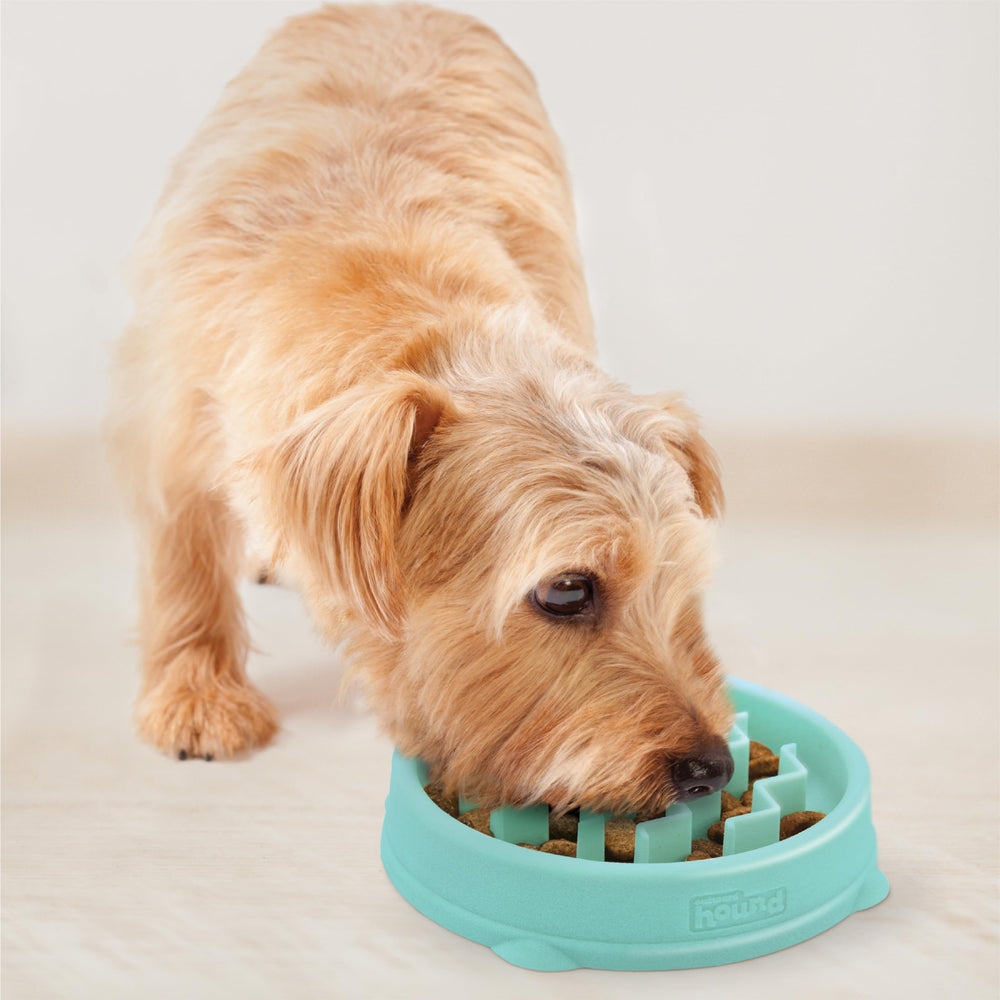 Outward Hound Fun Feeder Slo Bowl ideal para cachorros y gatos pequeños.