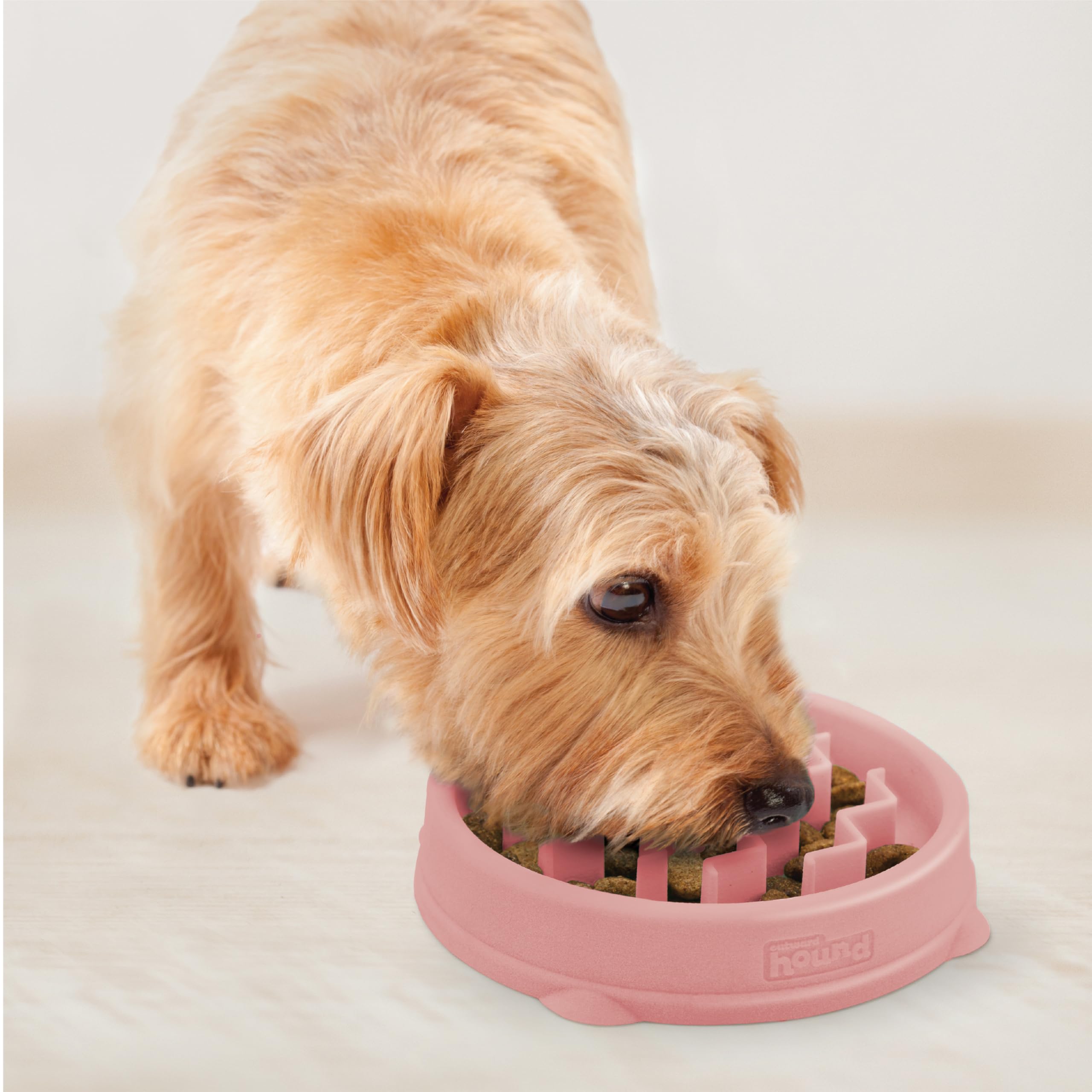 Outward Hound Fun Feeder Slo Tazon Nivel Lento: elige entre lento, mas lento y el mas lento.