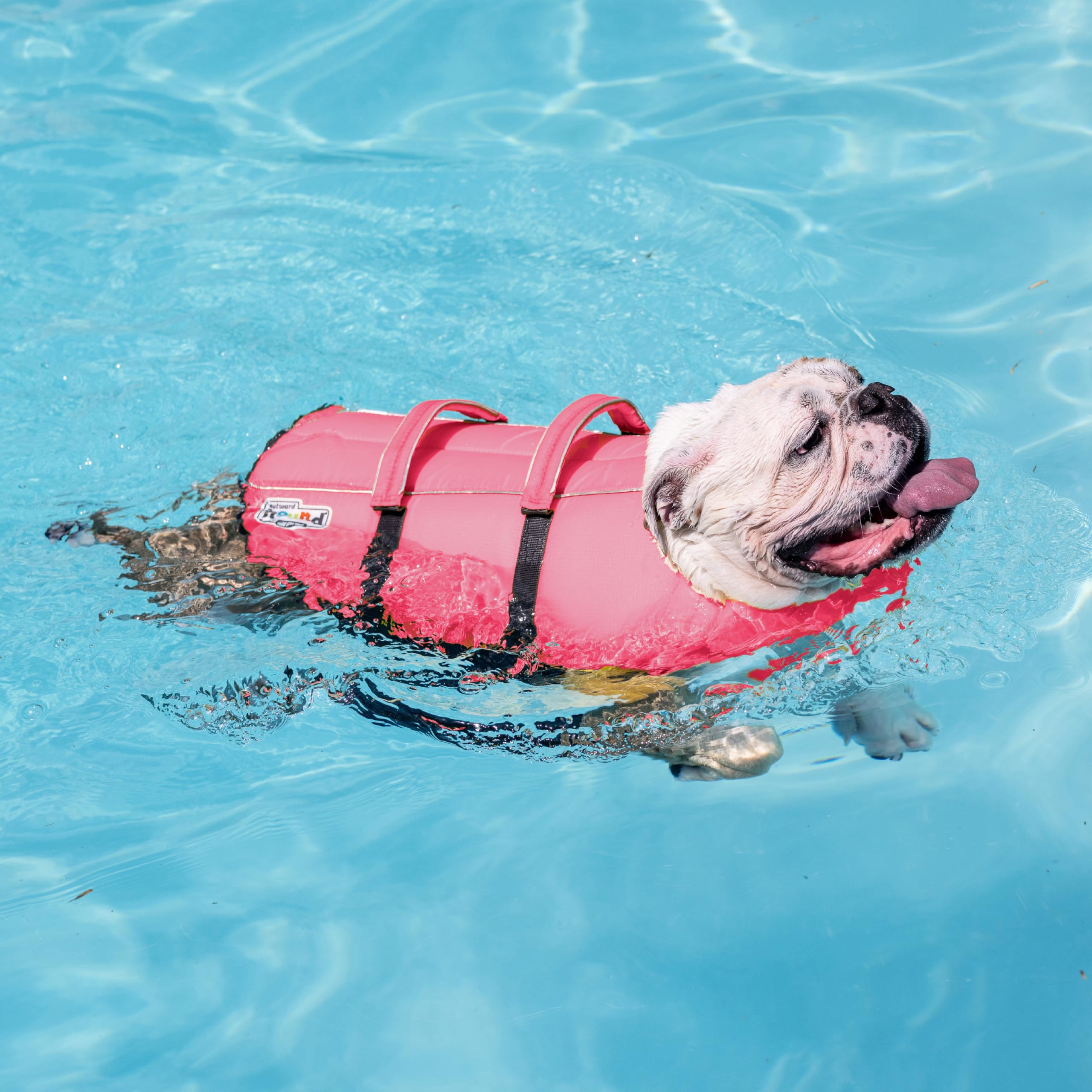 Outward Hound Granby Splash Rosa XS: asa de rescate superior para ayudar