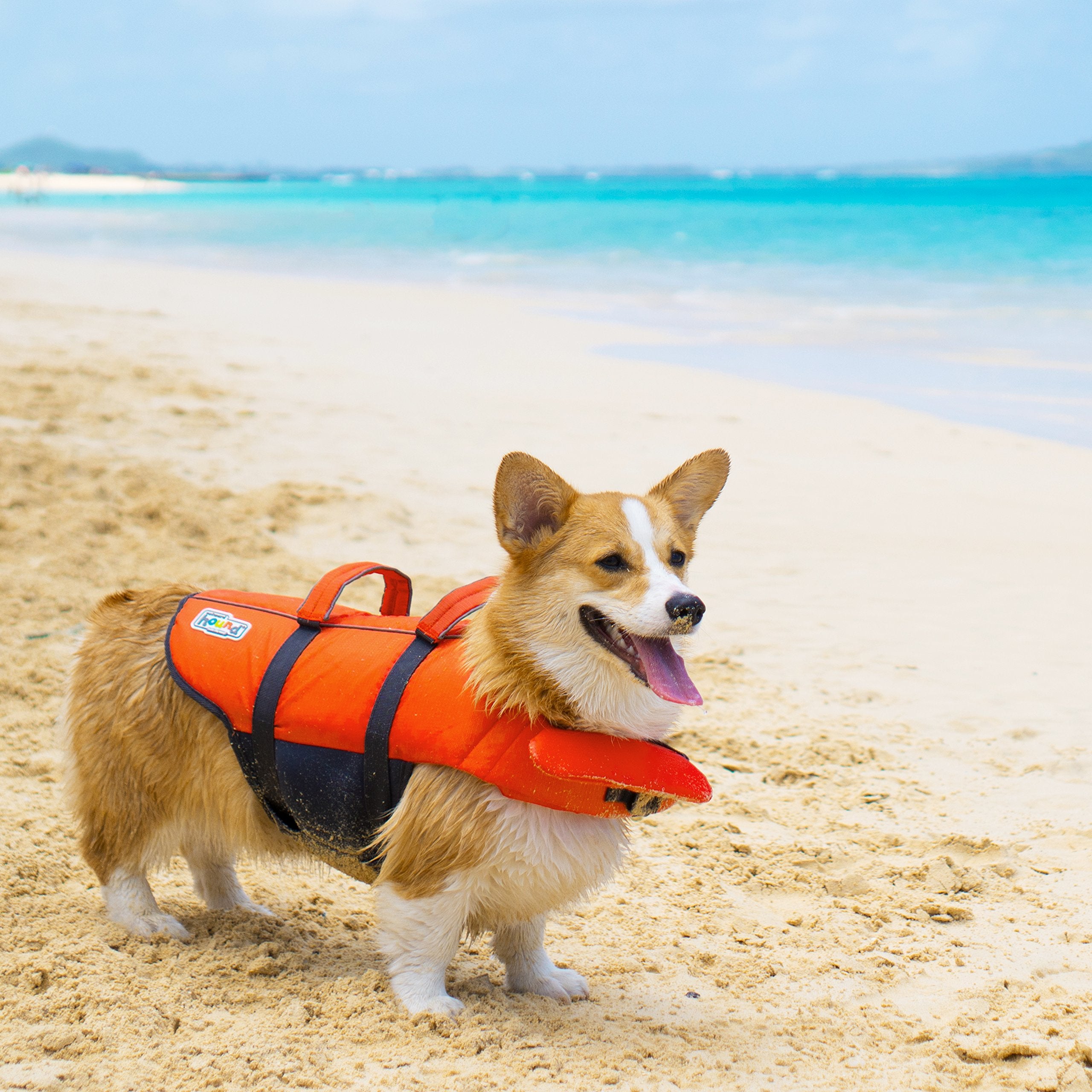Outward Hound Granby Splash: ideal para paseos y juegos en el agua.