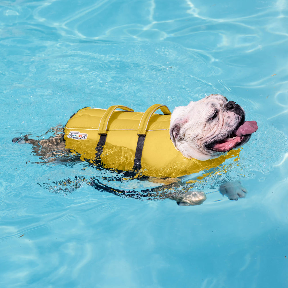Outward Hound Granby Splash XL: diseño frontal con flotador para soporte del cuello.