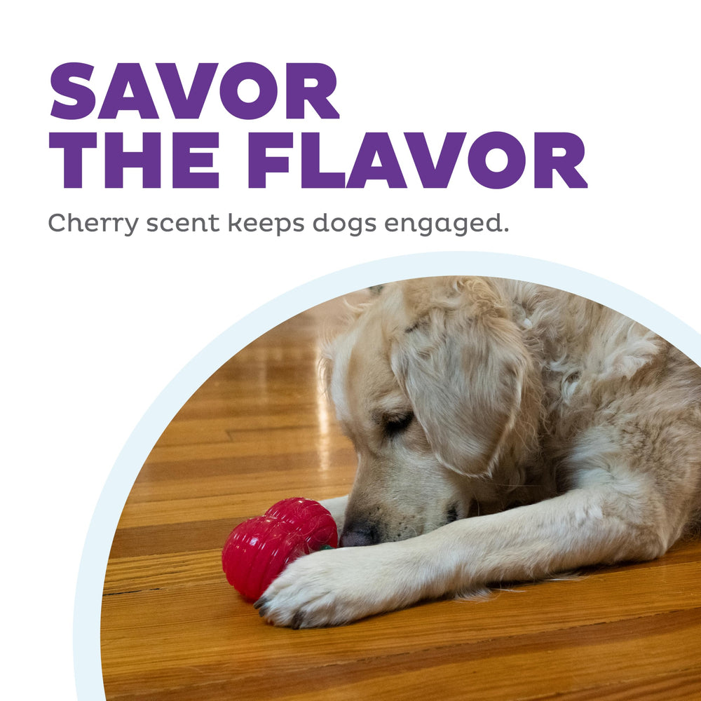 Outward Hound Gummiez Aroma Sensorial Cereza: aroma a cereza atrae al perro hacia el juego