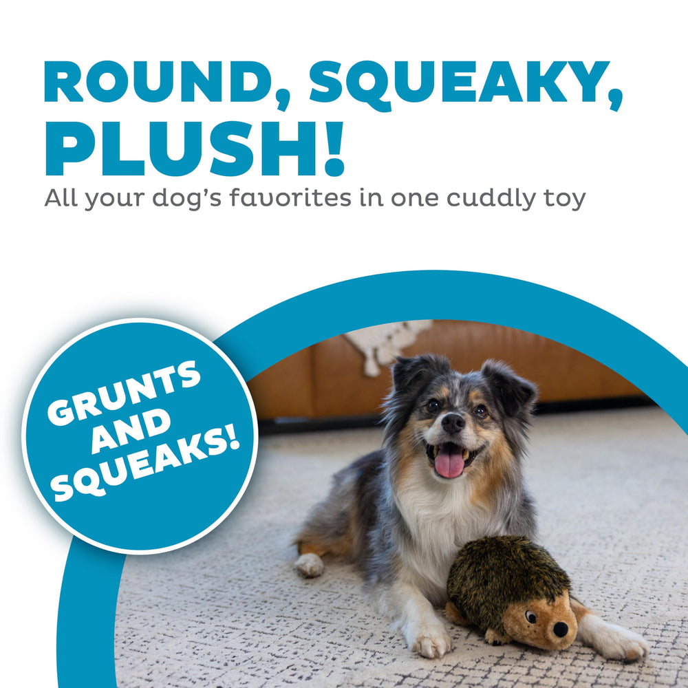 Outward Hound Hedgehogz: juguete con chirrido y gruñido para estimular al perro.