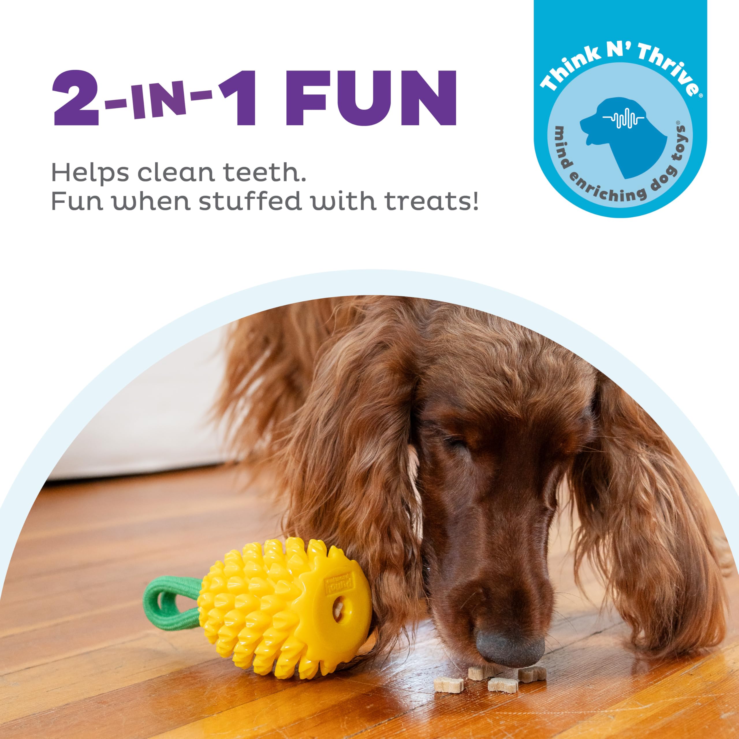 Outward Hound Juguete dental piña, olor estimulante para perros, mantiene interés y aliento fresco