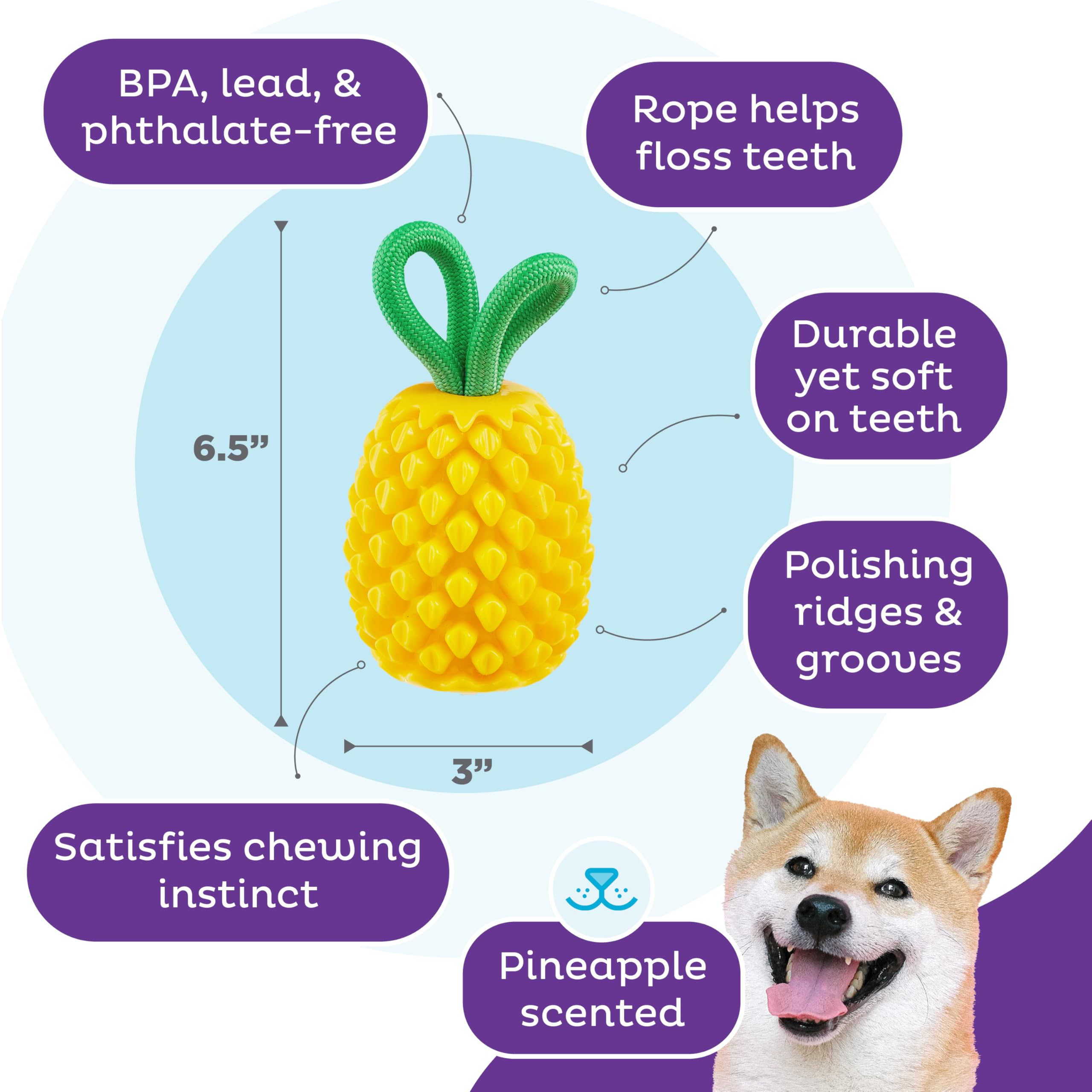 Outward Hound Juguete dental piña, superficie texturizada ayuda a limpiar dientes durante la mordida