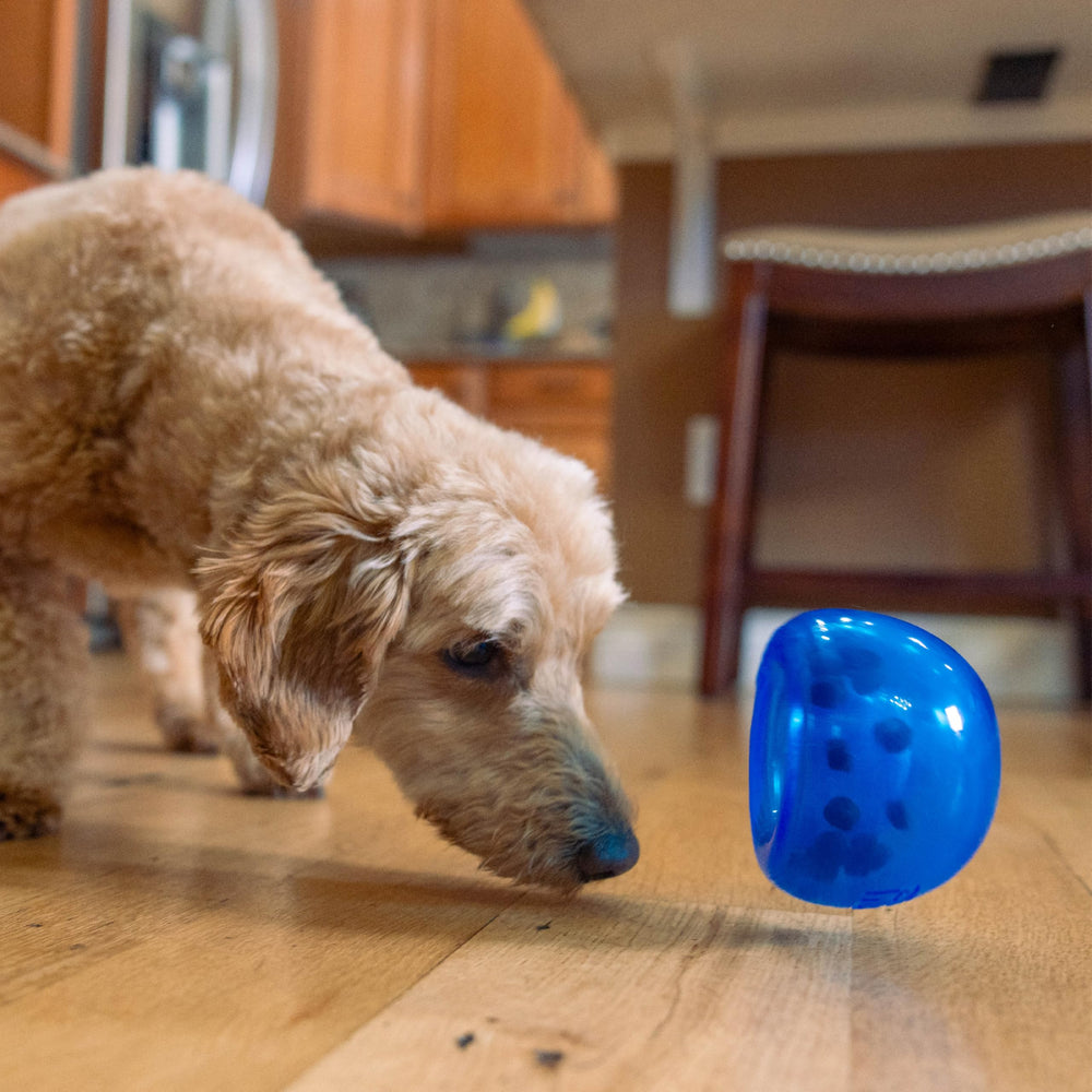 Lil’ Snoop seguridad y supervisión recomendadas durante el juego
