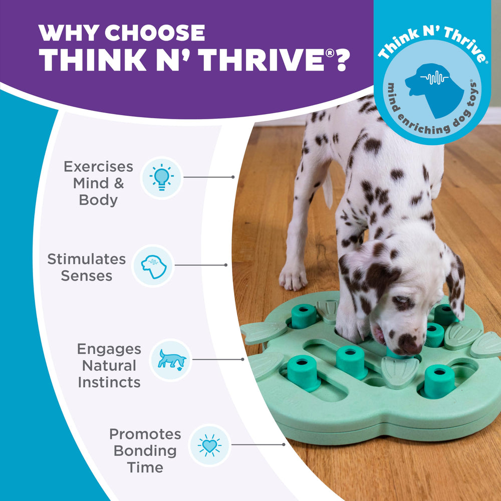 Outward Hound Nina Ottosson Hide N' Slide: ajustes de dificultad para adaptarse