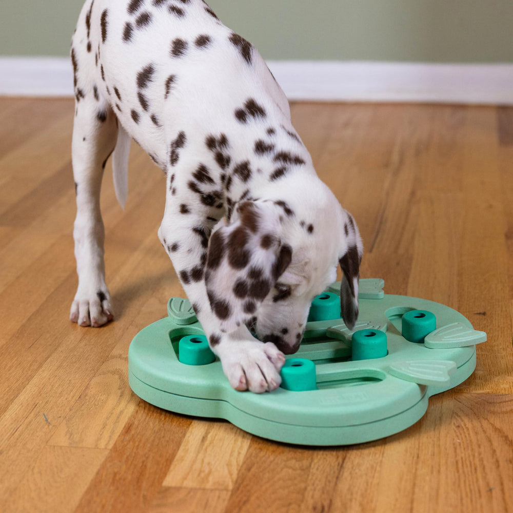 Outward Hound Nina Ottosson Hide N' Slide: fácil de limpiar y reutilizable