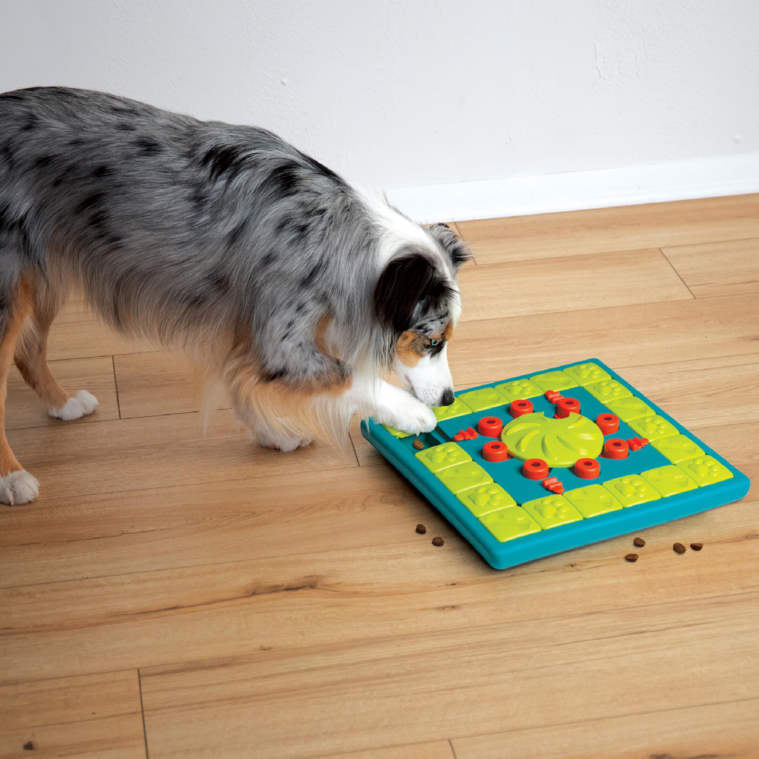 Outward Hound Nina Ottosson Multipuzzle – juego interactivo que fortalece disciplina y resolución de problemas.