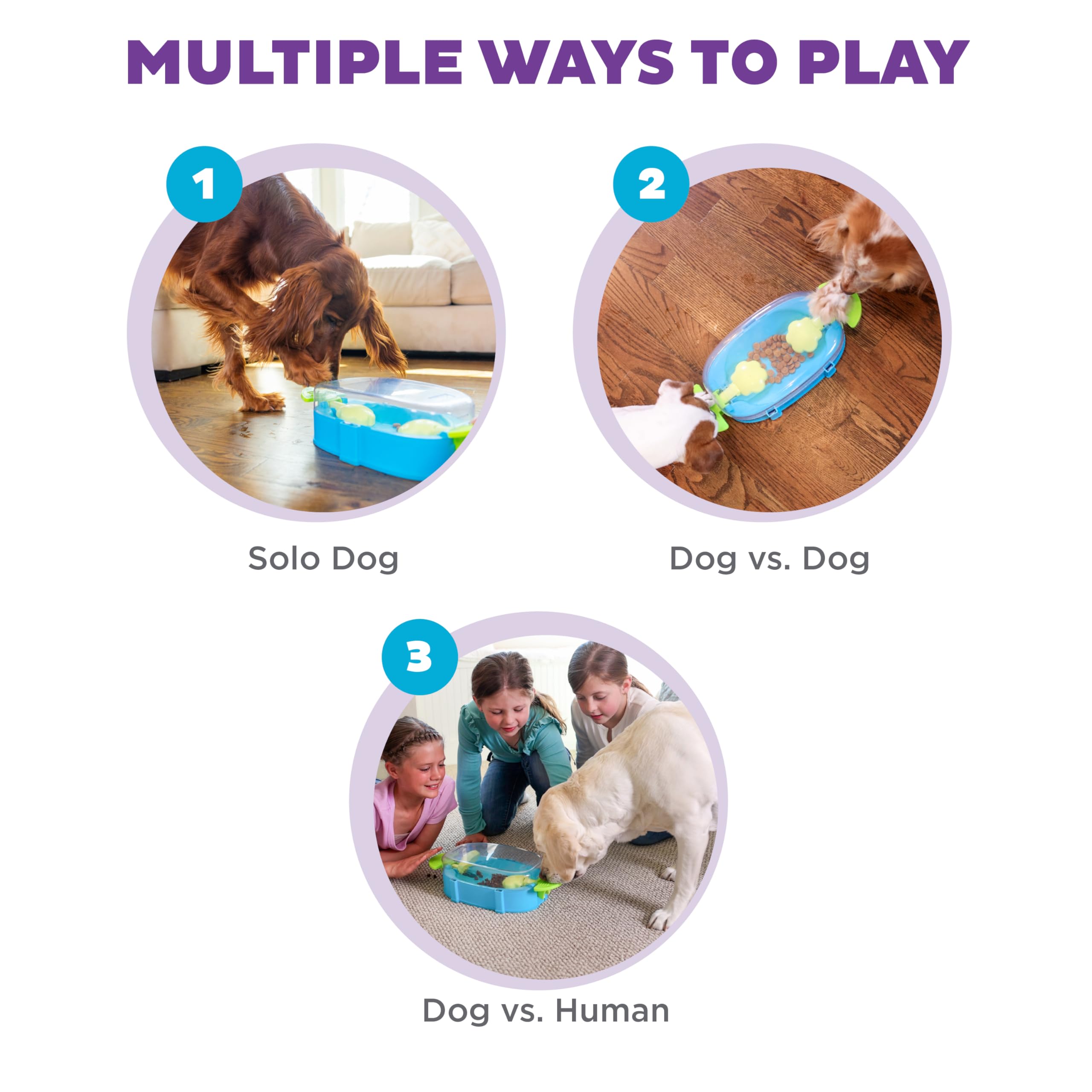 Outward Hound Paw N' Play entrega de comida lenta para ritmo saludable.