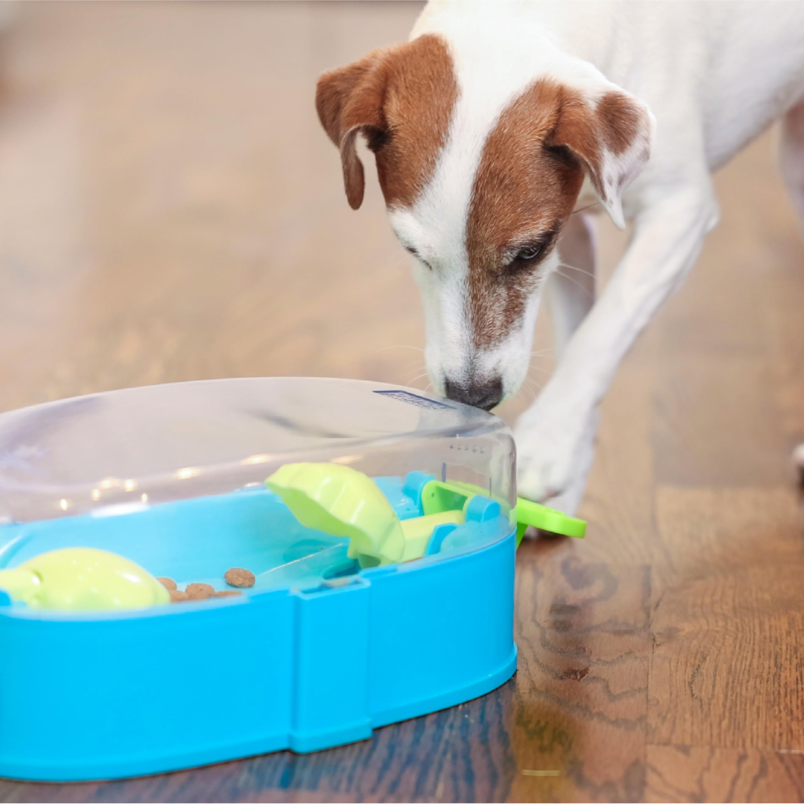 Outward Hound Paw N' Play uso diario para entretenimiento y aprendizaje.
