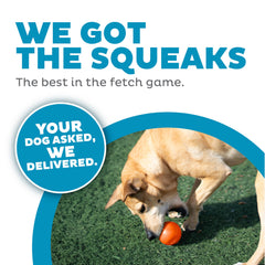 Outward Hound Pelota Chillido Flotante, perfecta para juegos en interior y agua.