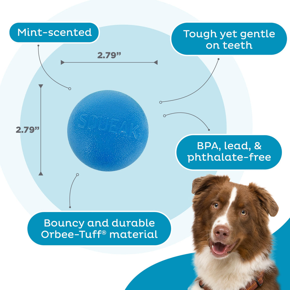Outward Hound Pelota duradera azul, resiste mordidas y ofrece entretenimiento prolongado.