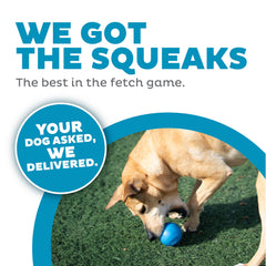 Outward Hound Pelota flotante azul, perfecta para juegos en el agua.