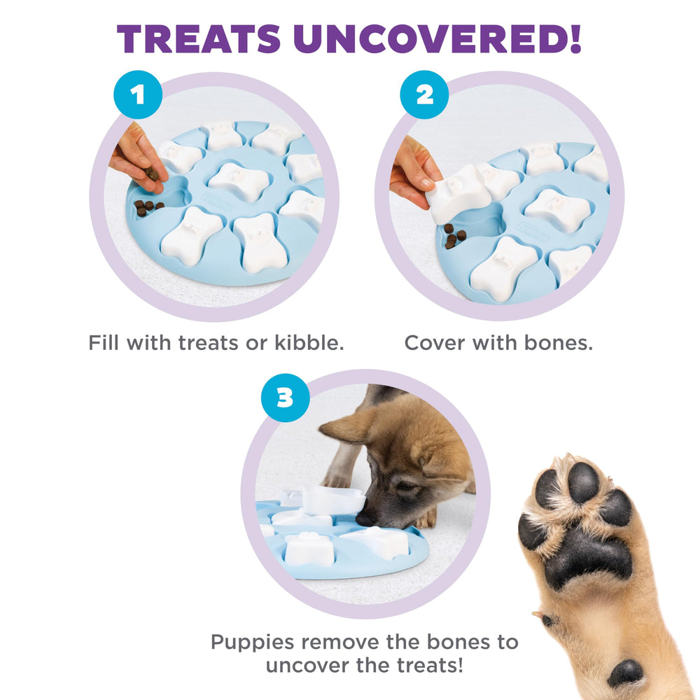 Gourmandises cachees dans Puppy Smart, stimulation olfactive et exploration
